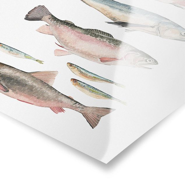 Tavlor ordspråk Seven Fish In Watercolour I