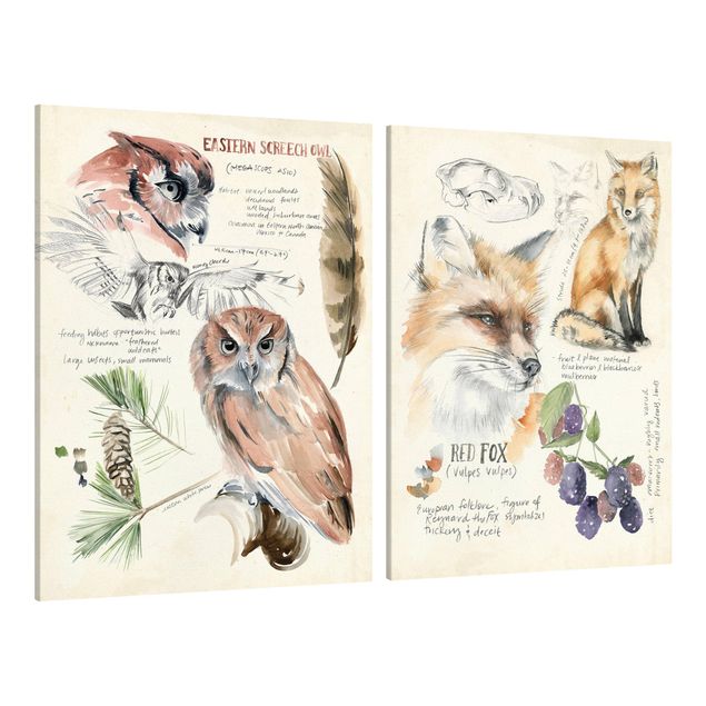 Tavlor blommor  Wilderness Journal Owl And Fox Set I