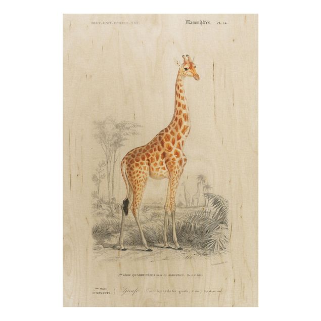 Trätavlor vintage Vintage Board Giraffe