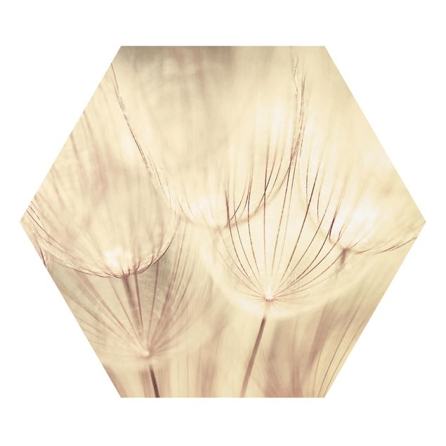 Tavlor gul Dandelions Close-Up In Cozy Sepia Tones