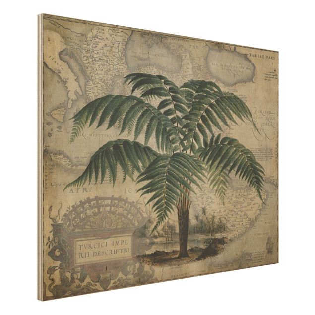 Kök dekoration Vintage Collage - Palm And World Map