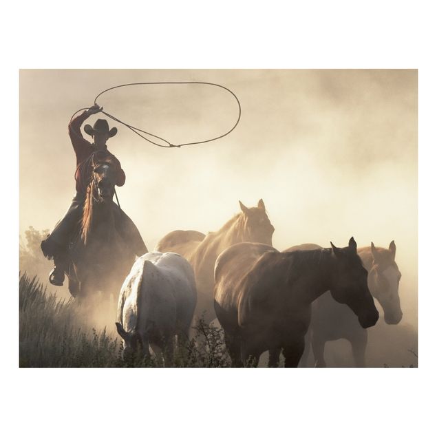 Tavlor porträtt Cowboy silhouette