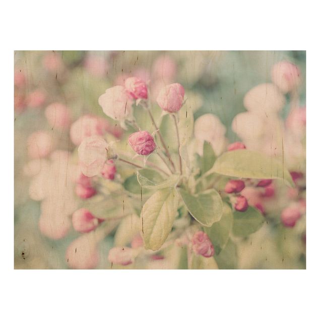 Trätavlor blommor  Apple Blossom Bokeh Light Pink