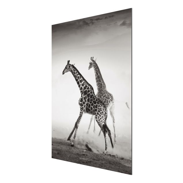 Tavlor modernt Giraffe Hunt