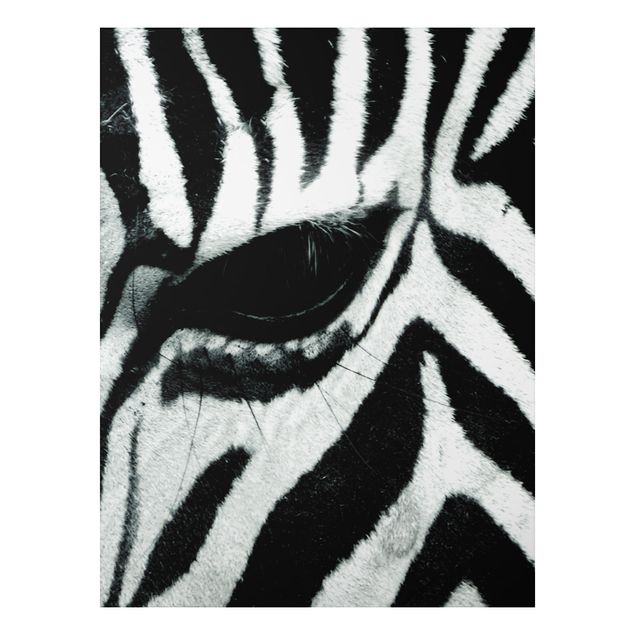 Tavlor zebror Zebra Crossing No.2