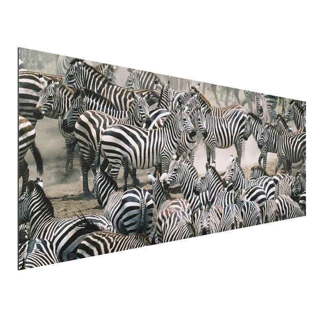 Kök dekoration Zebra Herd