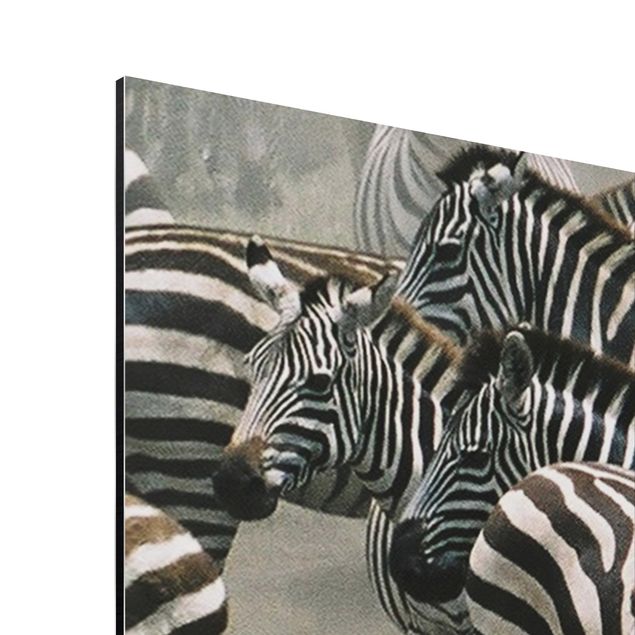 Tavlor djur Zebra Herd