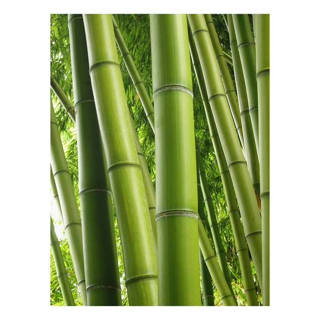 Tavlor träd Bamboo Trees No.1
