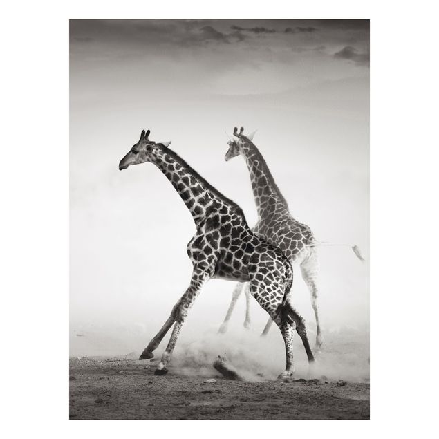 Tavlor giraffer Giraffe Hunt
