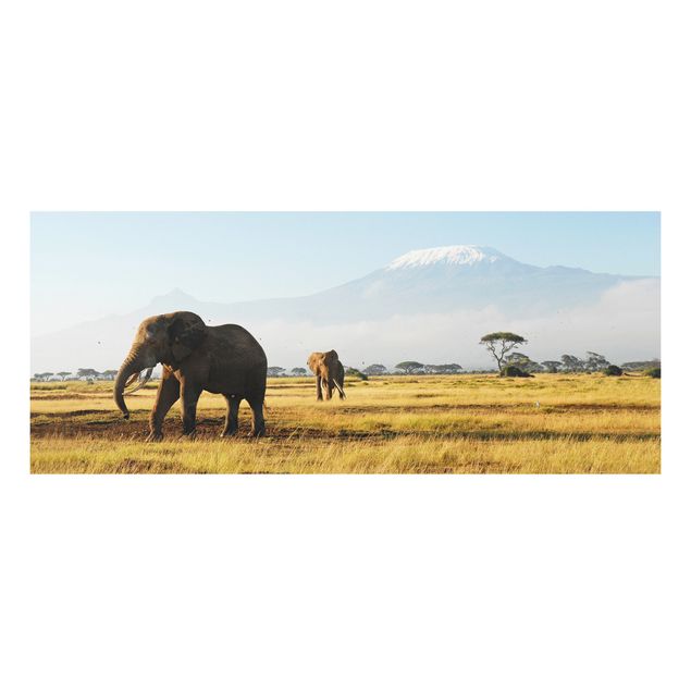 Tavlor elefanter Elephants In Front Of The Kilimanjaro In Kenya