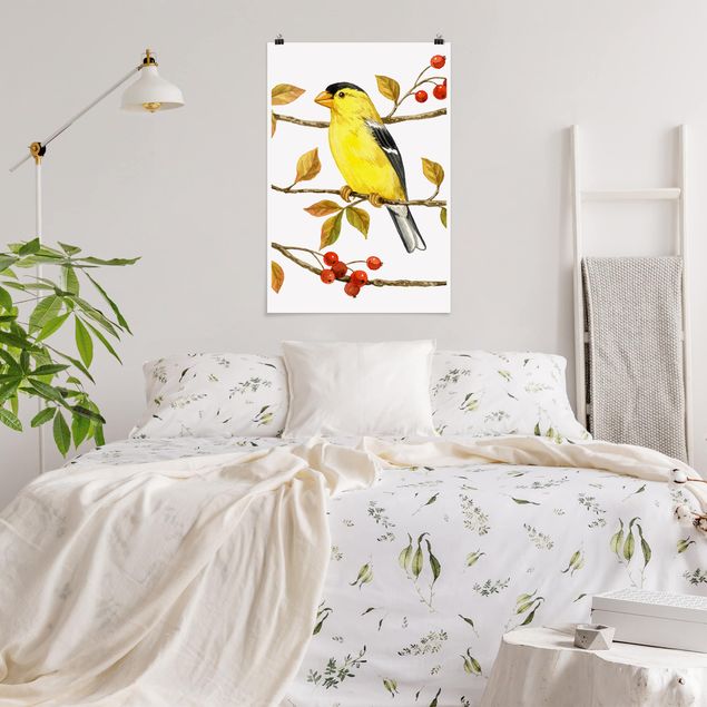 Posters vintage Birds And Berries - American Goldfinch