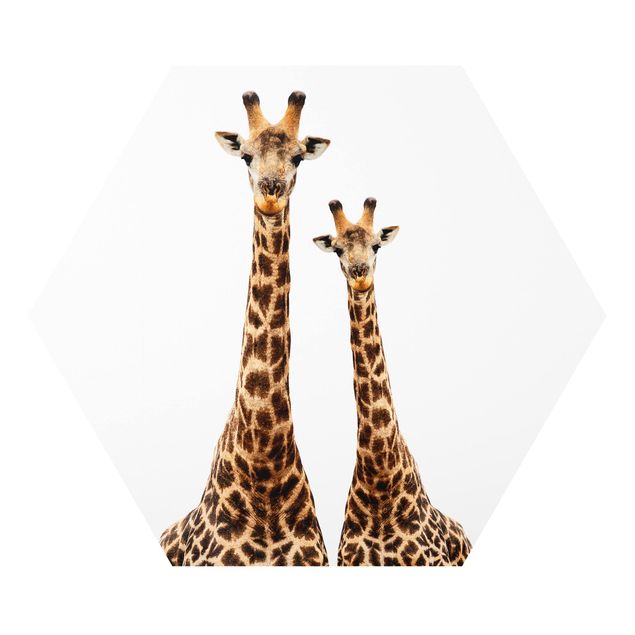 Tavlor Portait Of Two Giraffes
