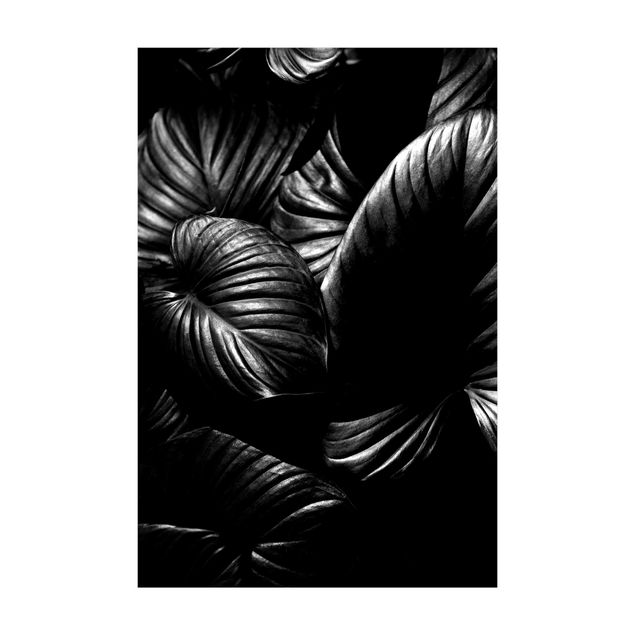 svartvit matta Black And White Botany Hosta