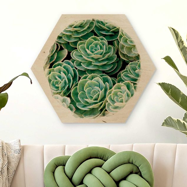 Kök dekoration Water Colours - Green Succulents