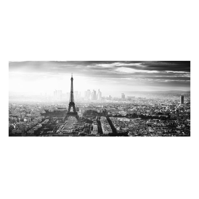 Tavlor Paris The Eiffel Tower From Above Black And White
