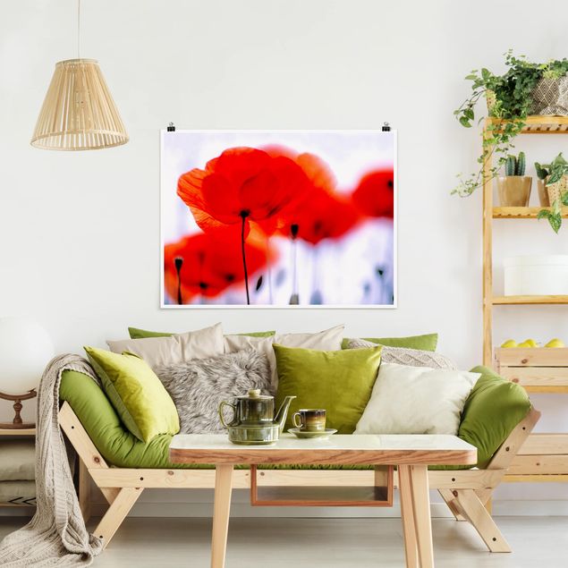 Posters blommor  Magic Poppies