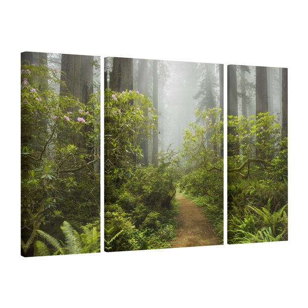 Canvastavlor landskap Misty Forest Path