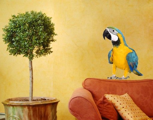 Kök dekoration Macaw
