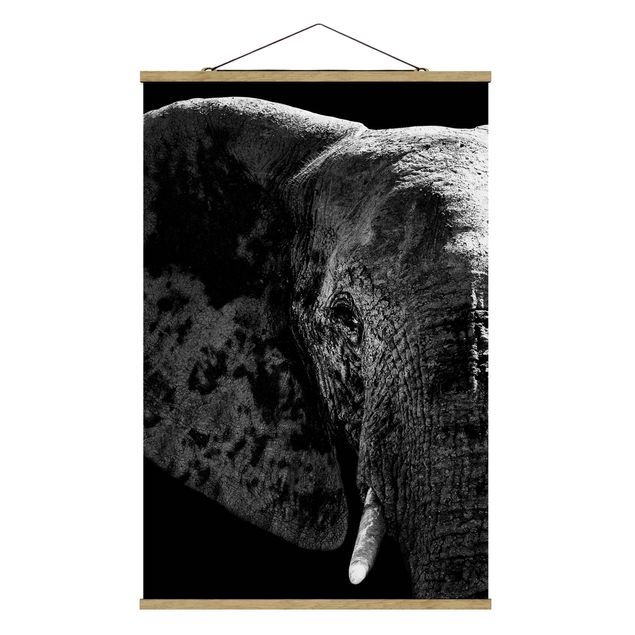 Tavlor modernt African Elephant black and white