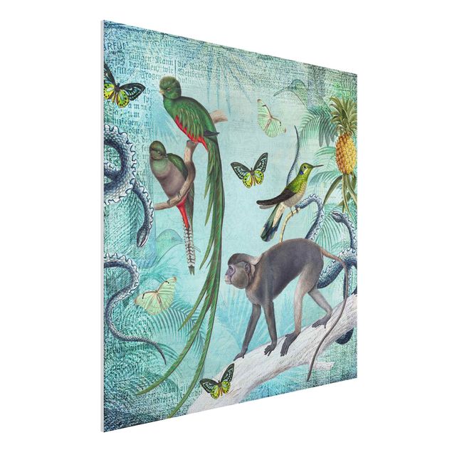Tavlor apor Colonial Style Collage - Monkeys And Birds Of Paradise