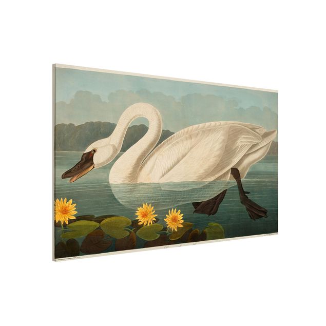 Kök dekoration Vintage Board American Swan