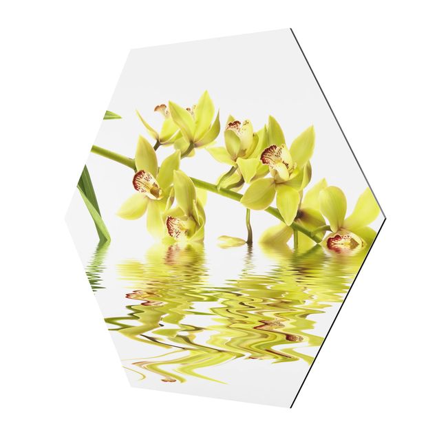 Tavlor Elegant Orchid Waters