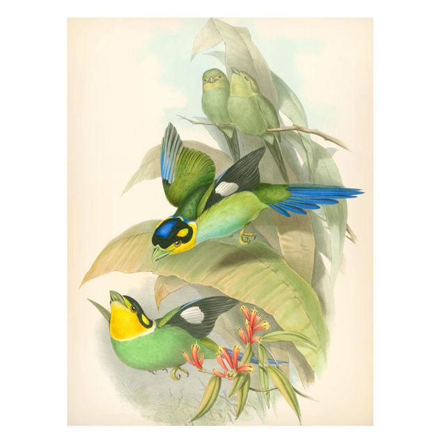 Magnettavla blommor  Vintage Illustration Tropical Birds