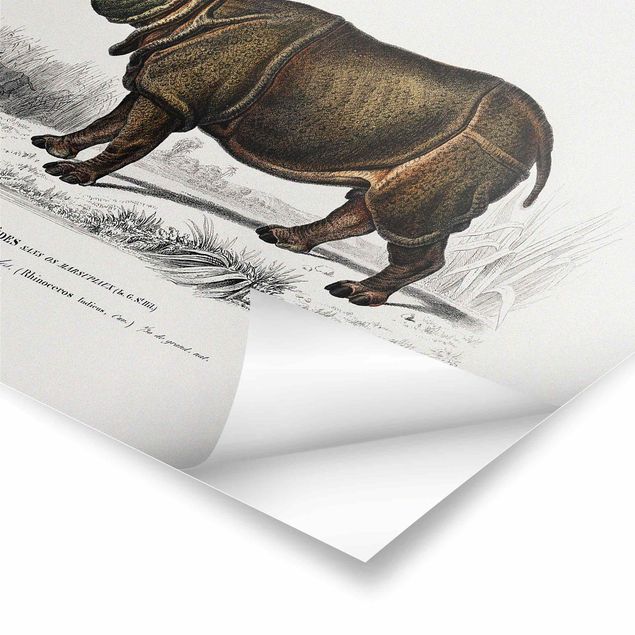 Tavlor Vintage Board Rhino