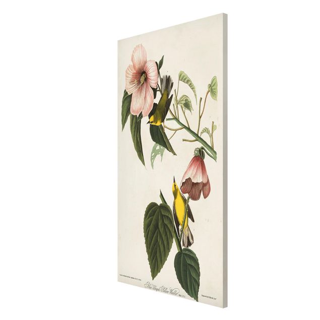 Tavlor blommor Vintage Board Warbler II