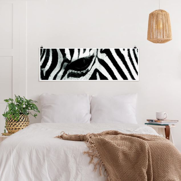 Posters svart och vitt Zebra Crossing
