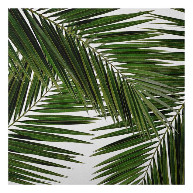 Tavlor landskap View Through Green Palm Leaves