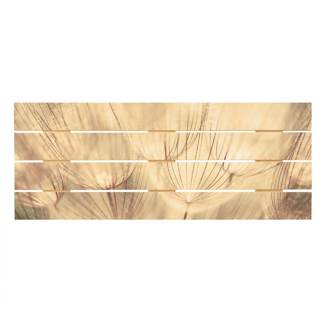 Trätavlor Dandelions Close-Up In Cozy Sepia Tones