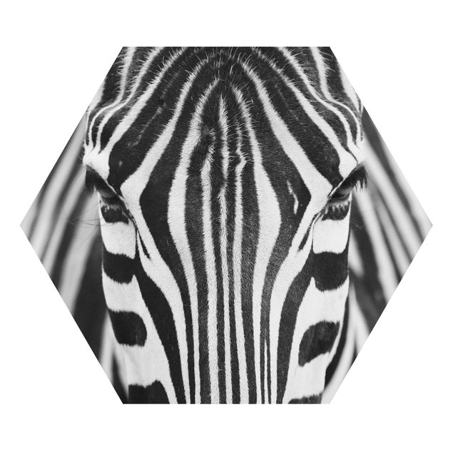 Tavlor modernt Zebra Look