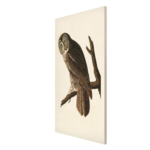 Tavlor retro Vintage Board Great Owl