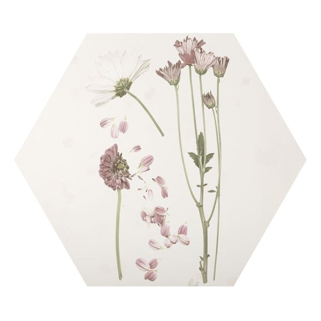 Tavlor Herbarium In Pink II