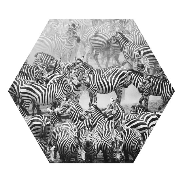 Tavlor djur Zebra herd II