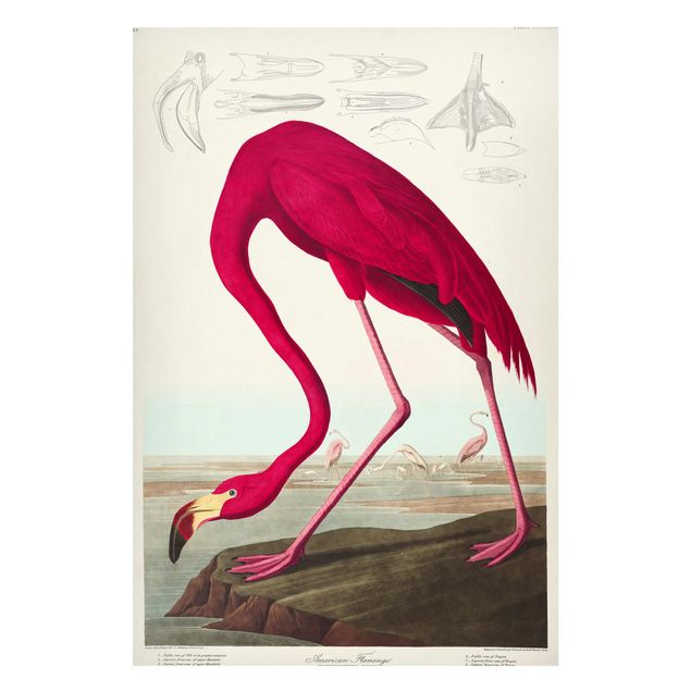 Magnettavla blommor  Vintage Board American Flamingo
