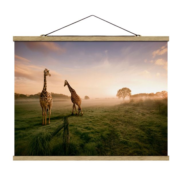 Tavlor natur Surreal Giraffes
