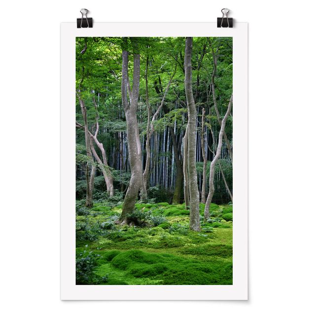 Posters landskap Japanese Forest
