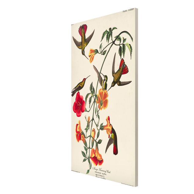 Tavlor blommor Vintage Board Mango Hummingbirds