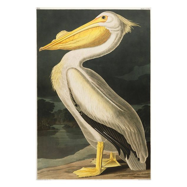 Magnettavla djur Vintage Board White Pelican