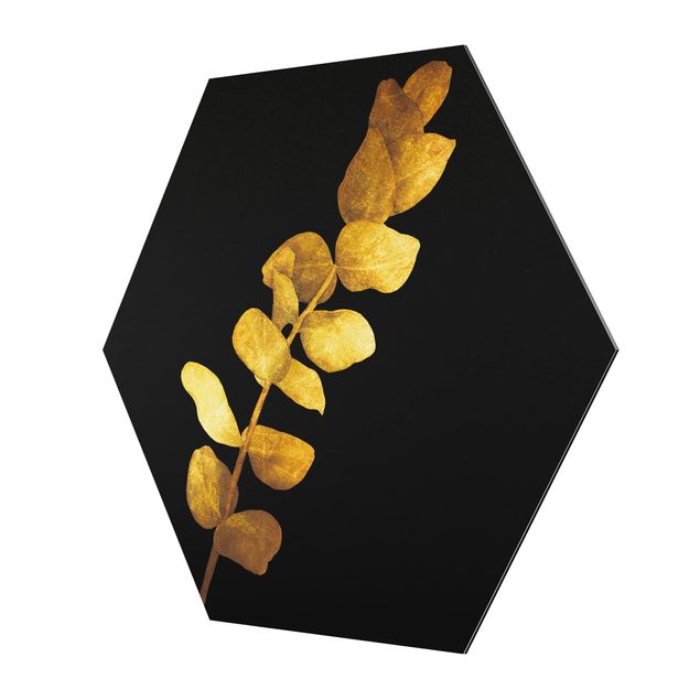 Hexagonala tavlor Gold - Eucalyptus On Black