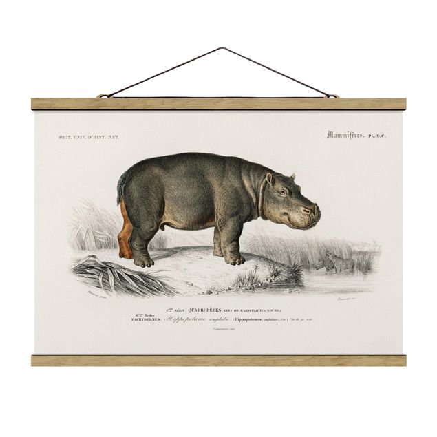 Tavlor natur Vintage Board Hippo