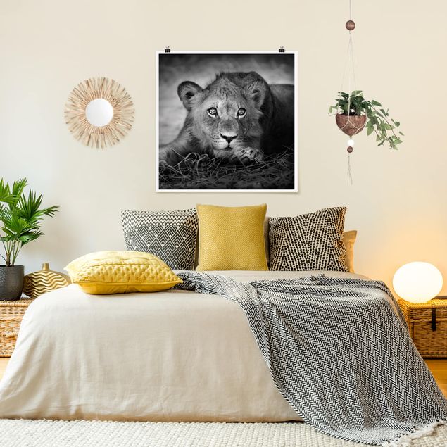 Kök dekoration Lurking Lionbaby