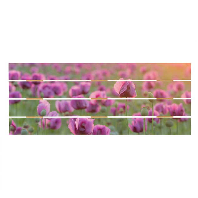 Tavlor Purple Poppy Flower Meadow In Spring
