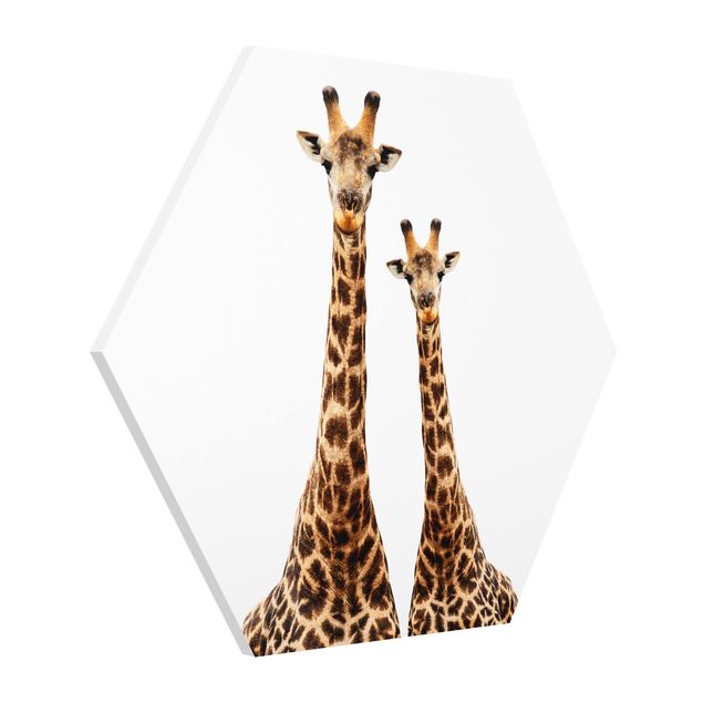 Tavlor djur Portait Of Two Giraffes