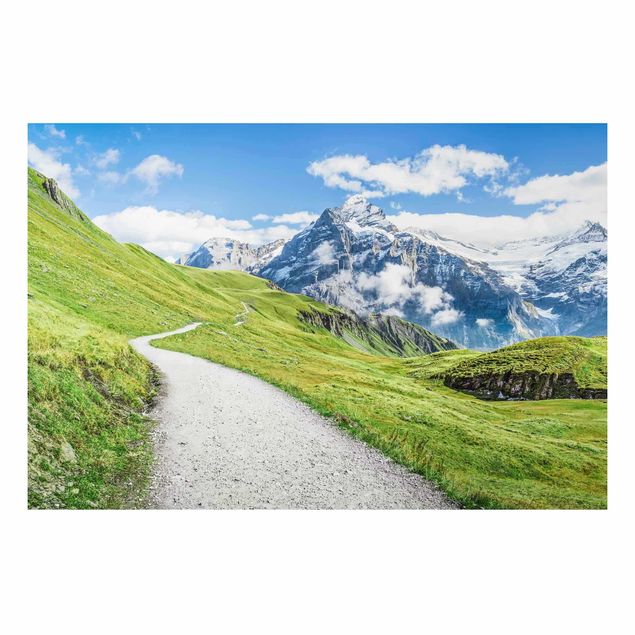 Tavlor Schweiz Grindelwald Panorama