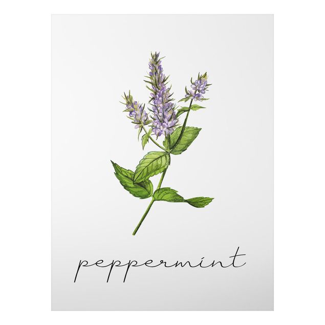 Tavlor kryddor Herbs Illustration Pepper Mint