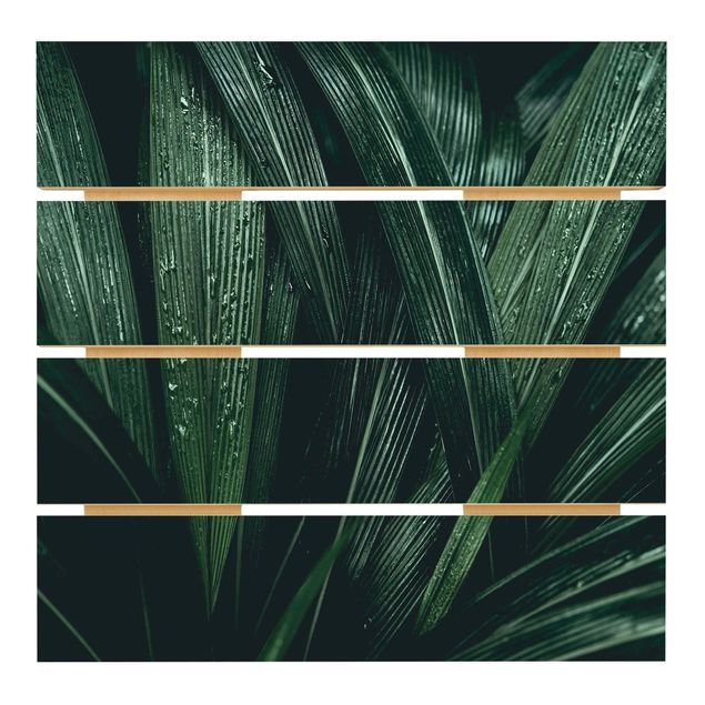 Trätavlor Green Palm Leaves