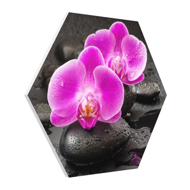 Tavlor blommor  Pink Orchid Flowers On Stones With Drops